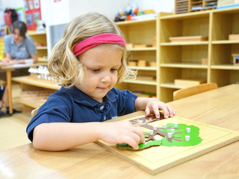 montessori s new education montessori s new education